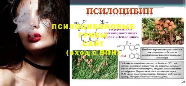 крисы Струнино