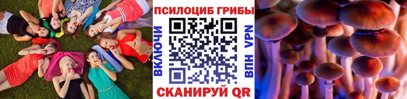 Псилоцибиновые грибы Psilocybe  закладки  Мелеуз 